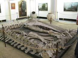 Musee civique E. Barba