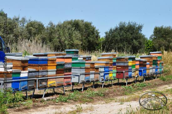 Agriturismo DolcEtna