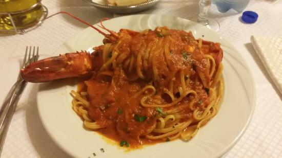 Trampolines Carbinia