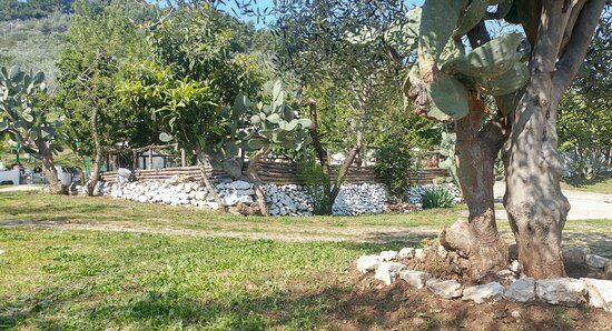 Trattoria Da Tonino Vignanotica