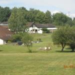 Via Roma Gastronomia