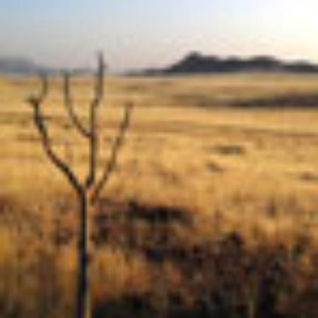 Pizzeria Il Paisa' Di Somma Domenico & C. Sas