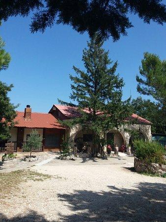 Ristornate Bar Gallo D'Oro