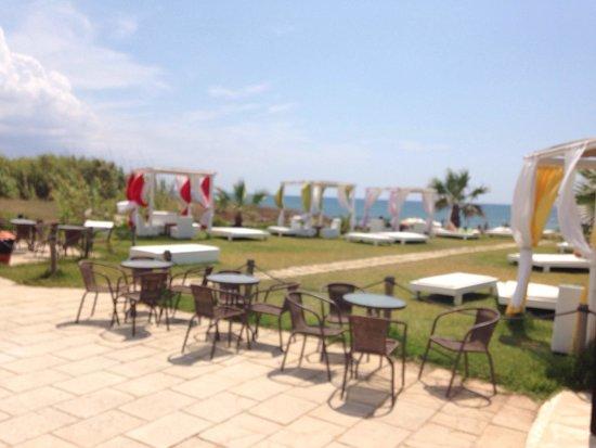 Bossa Nova Restaurant