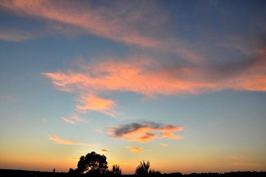 Agricole Negro Valiani