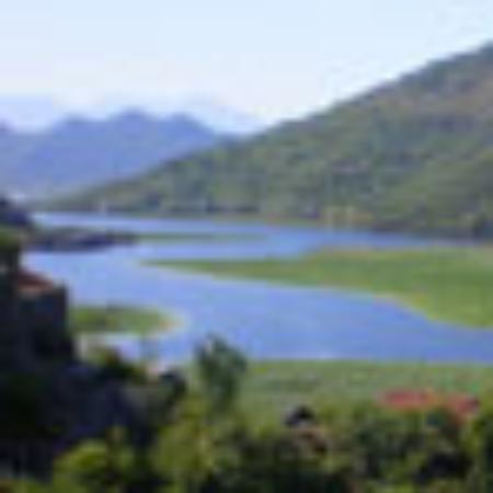 Bar Gelateria Caffe' Degli Specchi Angelo