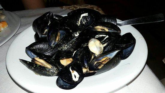 Trattoria Pizzeria la Piadina