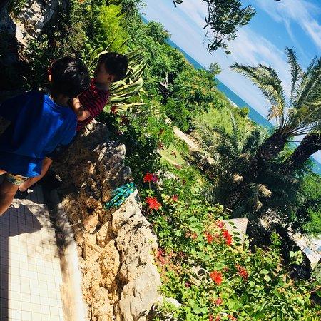 Ristorante Castellinaria