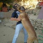 Caffe gelateria della Fontana