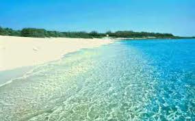 The tower of Torre Castiglione