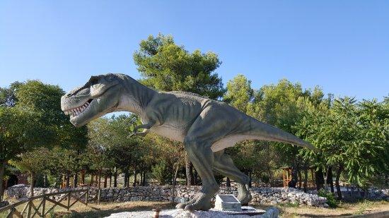 Musée de paléontologie et parc des dinosaures