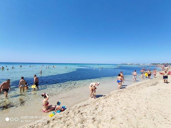 Lido Oasis Beach Cafe