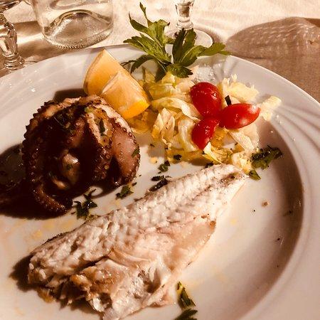 Ristorante Pizzeria Provolina