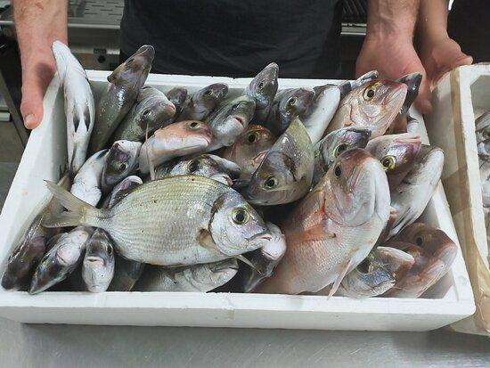 Trattoria LA LAMPARA