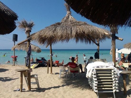 Bar Campo delle bandiere