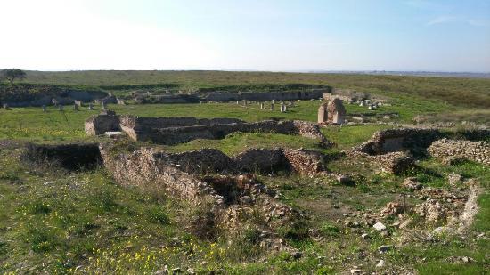 Scavi Archeologici di Herdonia