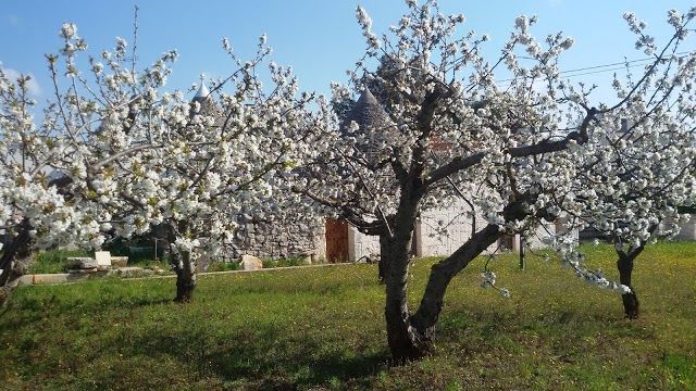 Parcheggio Alberobello Centro Storico