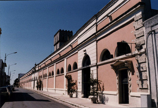 Exploitation viticole Leone de Castris