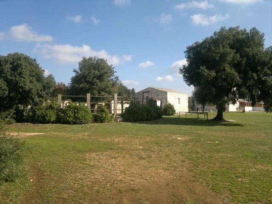 Az Agr.Corte dei Fragni