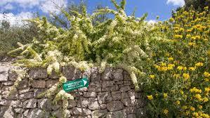 Conservatoire botanique I giardini di Pomona