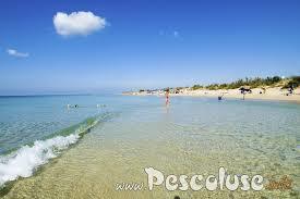 Plage de Pescoluse