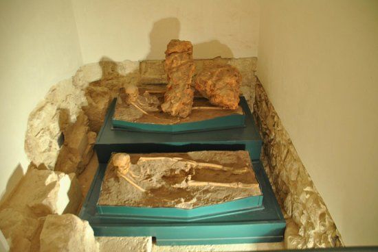 Musée des Civilisations préclassiques de la Murgia méridionale